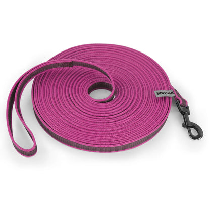 Dual-Color Dog Leash