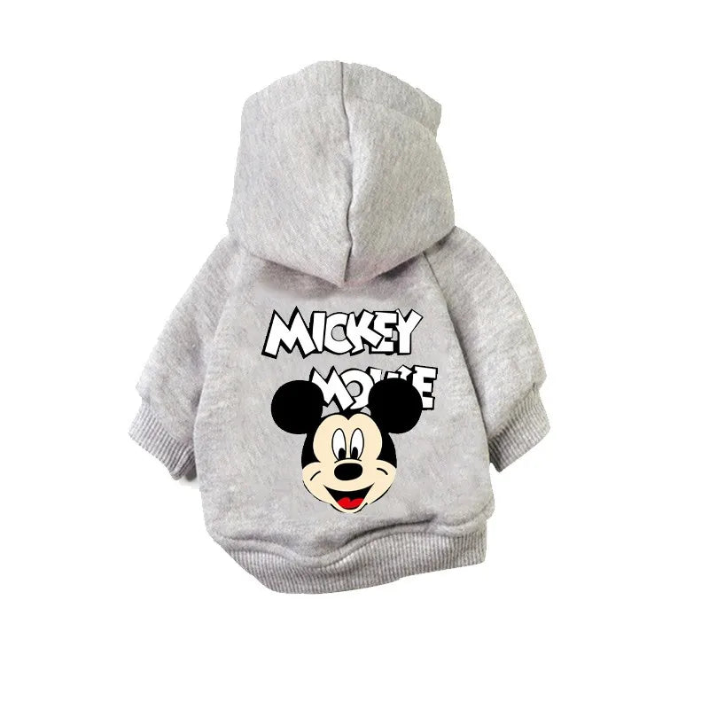 Disney Hoodie