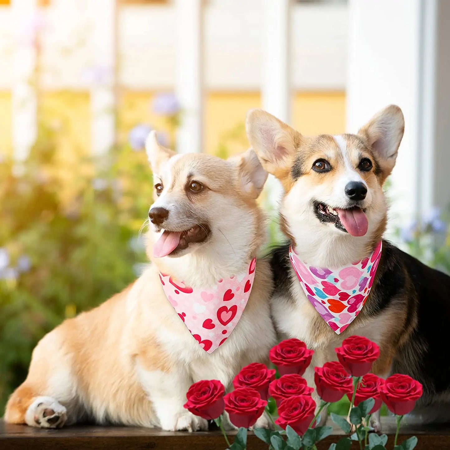 Valentine's Dog Bandanas (20-Pack)