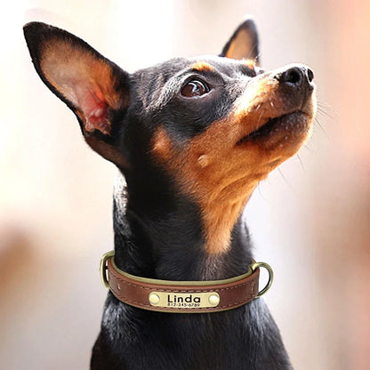 Personalized Leather Dog Collar