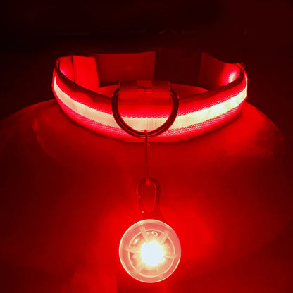 USB Charging Glowing Collar With Pendant