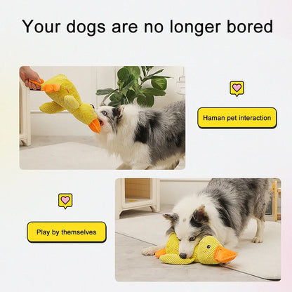 Quacking Duck Dog Toy