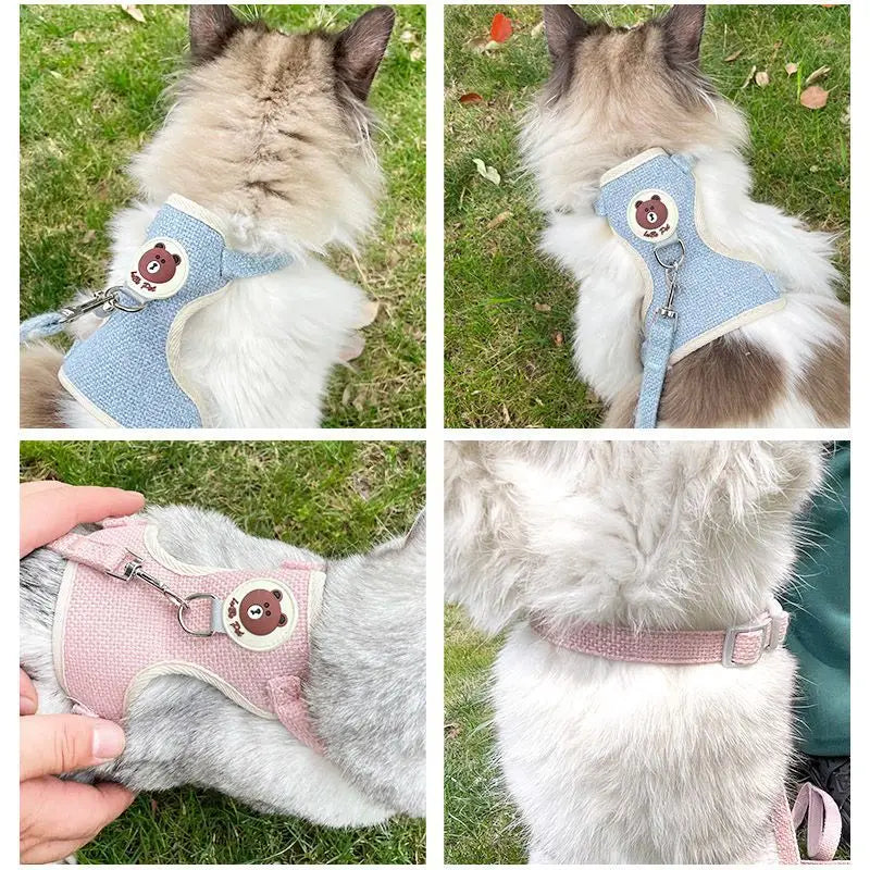 Newest Cute Rabbit Harness & Leash Set