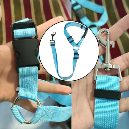 Two-in-One Pet Car Seat Belt & Leash