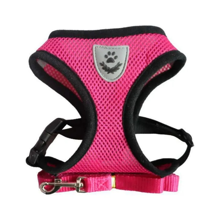 Adjustable Pet Harness and Leash Set